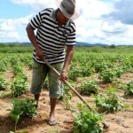 OPA recuerda la necesidad de apoyar a los autónomos del campo
